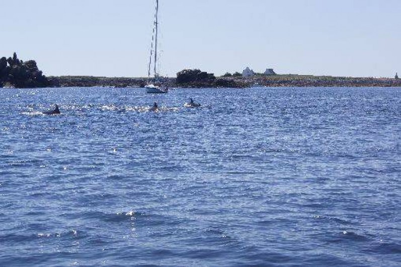 Location de vacances - Maison - Villa à Plouhinec