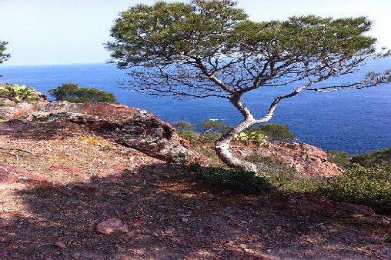 Location de vacances - Appartement à Saint-Raphaël