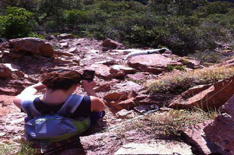 Location de vacances - Appartement à Saint-Raphaël