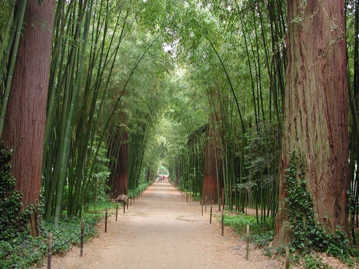 Location de vacances - Gîte à Tharaux - Visiter la Bambouseraie, lieu féerique à 30 kms de la Réboussière