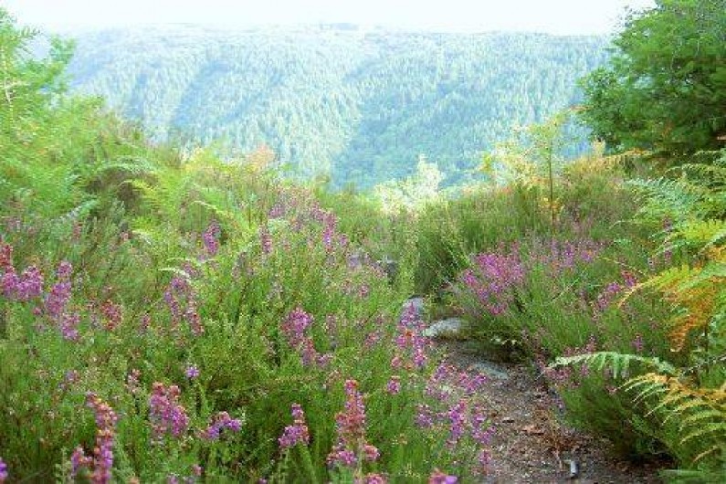 Location de vacances - Chambre d'hôtes à Camps-Saint-Mathurin-Léobazel