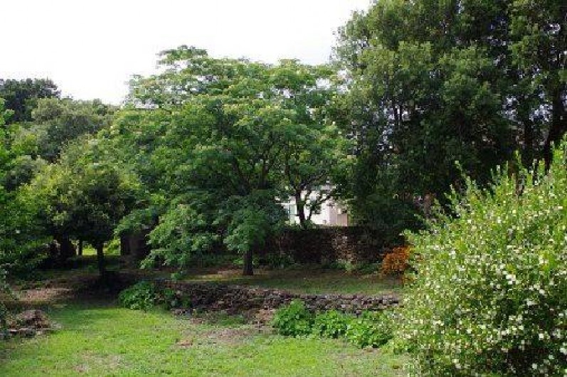 Location de vacances - Maison - Villa à Sisco