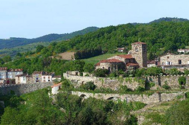 Location de vacances - Gîte à Vieille-Brioude