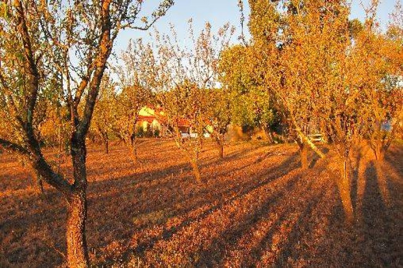 Location de vacances - Maison - Villa à Sainte-Colombe-de-la-Commanderie