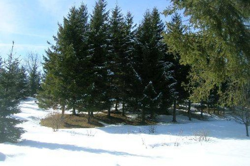 Location de vacances - Chalet à Foncine-le-Haut