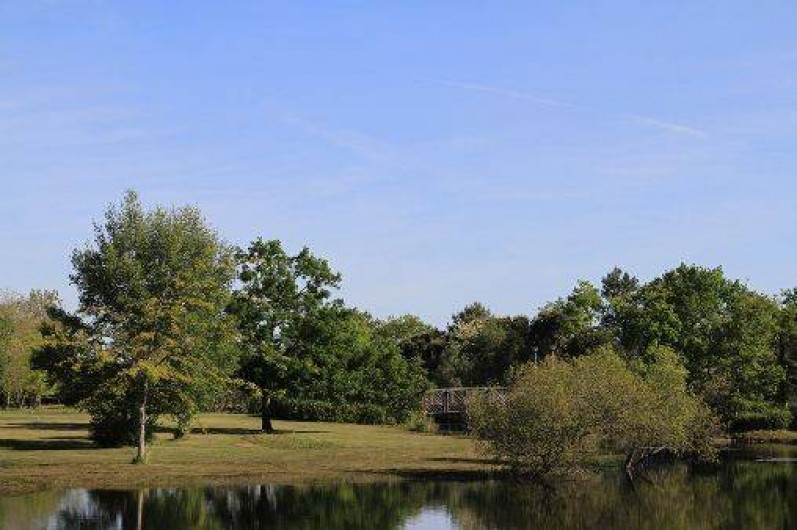 Location de vacances - Bungalow - Mobilhome à Hourtin