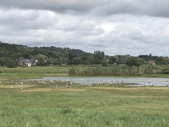 Location de vacances - Villa à Blonville-sur-Mer - Les marais à 200m