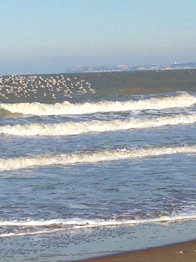 Location de vacances - Villa à Blonville-sur-Mer