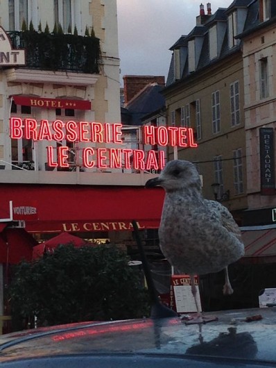 Location de vacances - Villa à Blonville-sur-Mer - Trouville à 5km