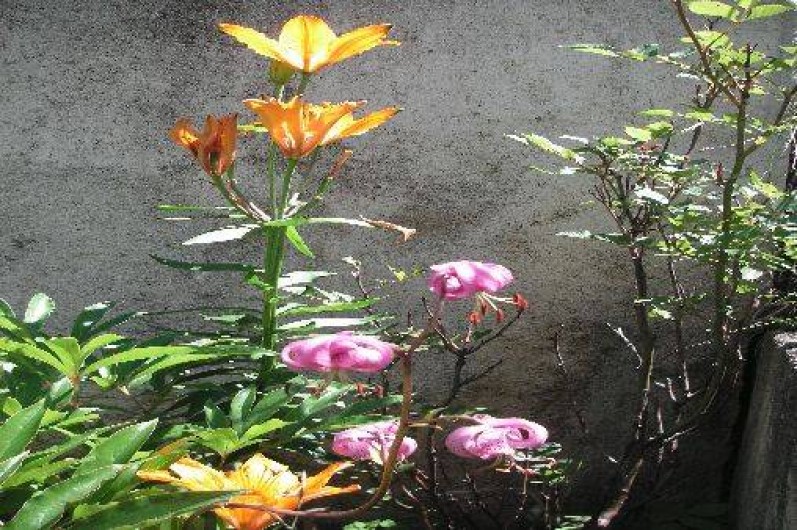 Location de vacances - Gîte à Termignon