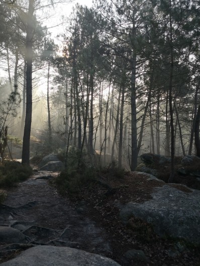 Location de vacances - Appartement à Noisy-sur-École - Levé de soleil hivernal