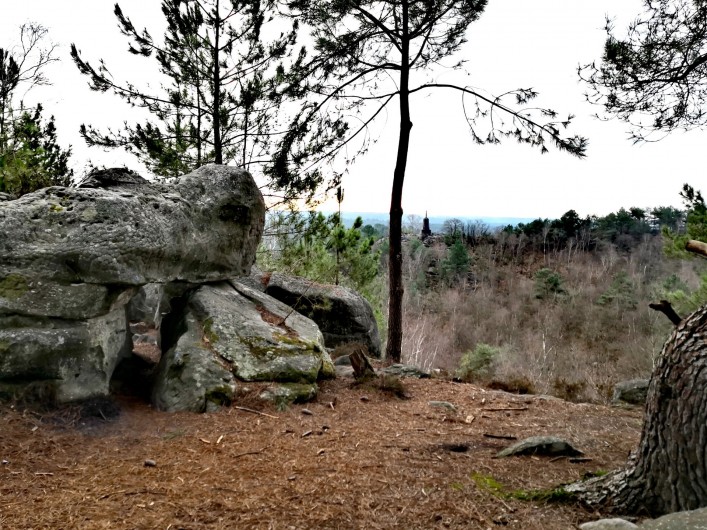 Location de vacances - Appartement à Noisy-sur-École