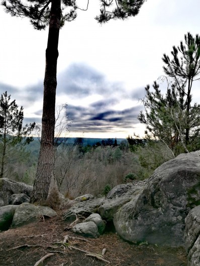 Location de vacances - Appartement à Noisy-sur-École