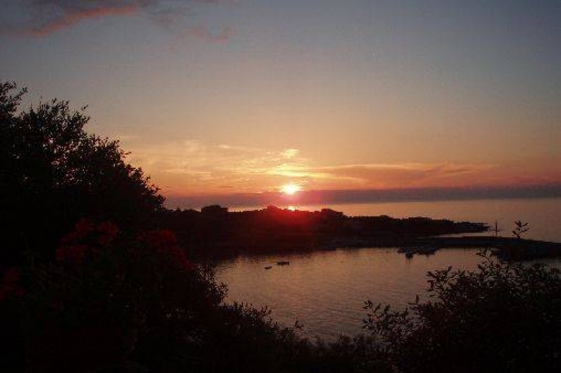 Location de vacances - Studio à Algajola