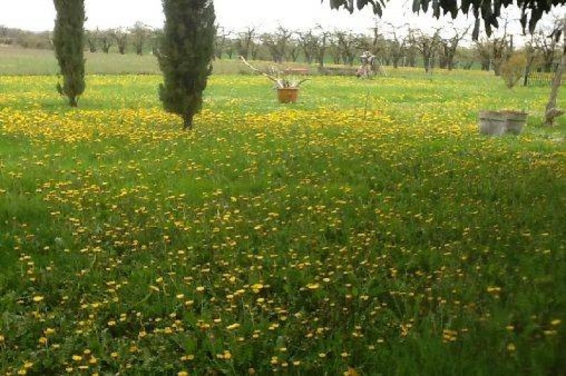 Location de vacances - Gîte à Issigeac