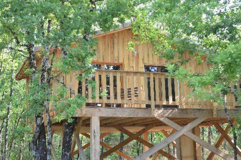 Location de vacances - Cabane dans les arbres à Cabanac-et-Villagrains