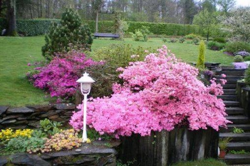 Location de vacances - Chambre d'hôtes à Arros-de-Nay