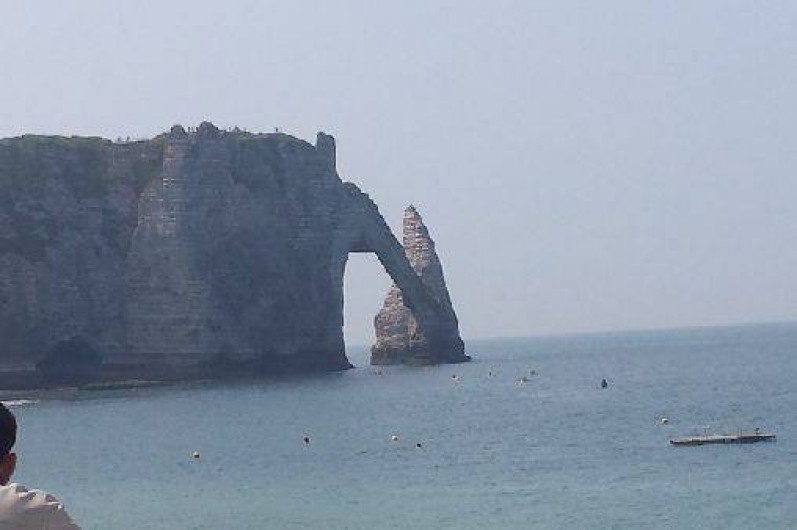 Location de vacances - Gîte à Saint-Sauveur-d'Émalleville - L'aiguille creuse d'Etretat