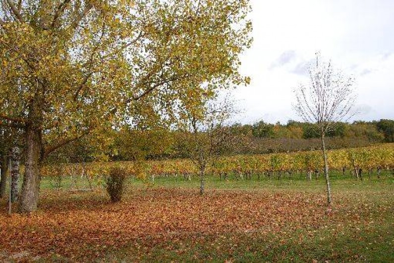 Location de vacances - Maison - Villa à Landerrouet-sur-Ségur