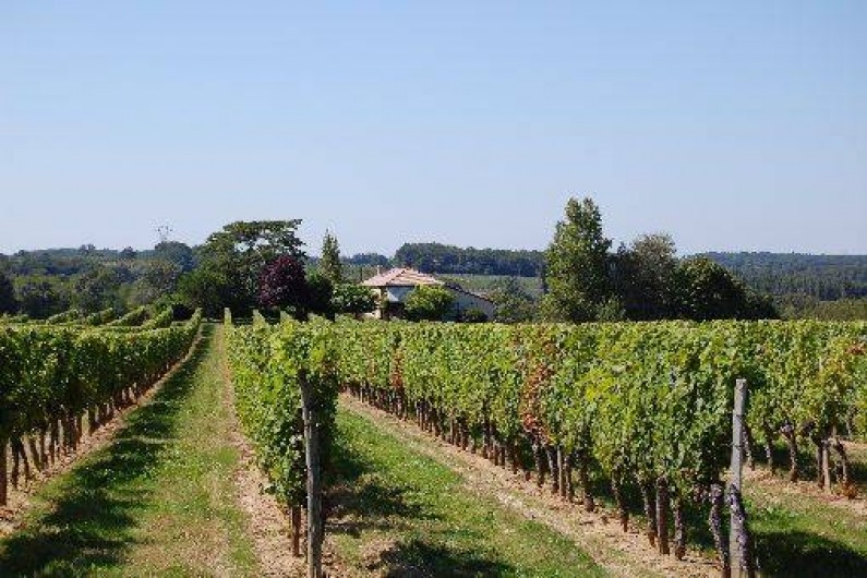 Location de vacances - Maison - Villa à Landerrouet-sur-Ségur