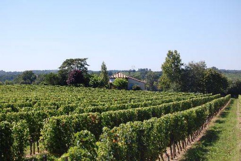 Location de vacances - Maison - Villa à Landerrouet-sur-Ségur