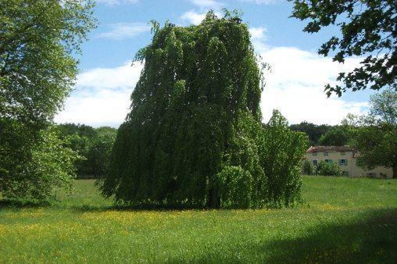 Location de vacances - Gîte à Mirepoix