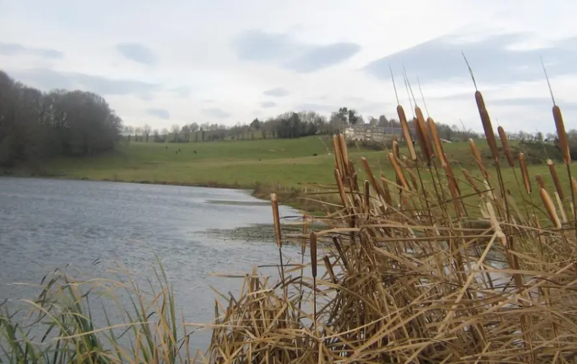 Location de vacances - Maison - Villa à Espalion