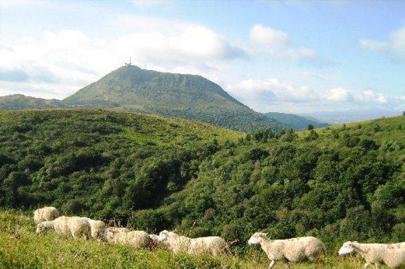 Location de vacances - Maison - Villa à Orcines