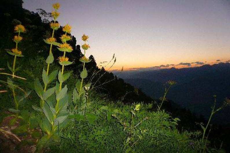 Location de vacances - Chalet à Saint-Hilaire - balade au crépuscul