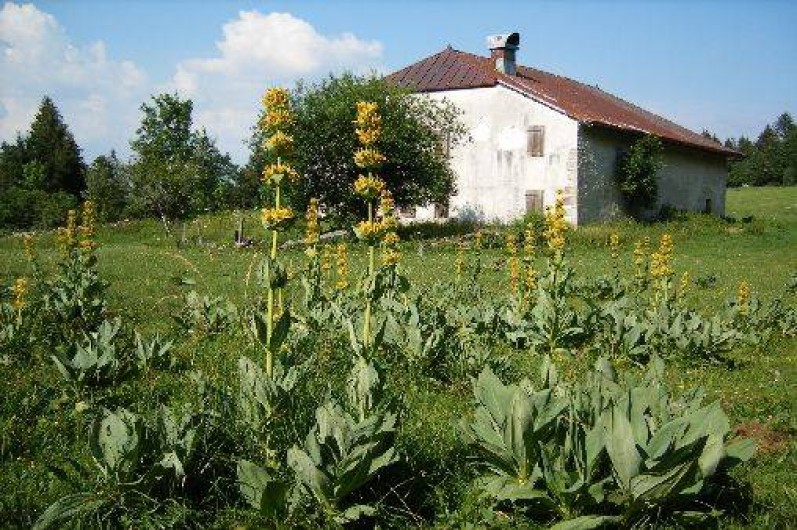 Location de vacances - Gîte à Gellin