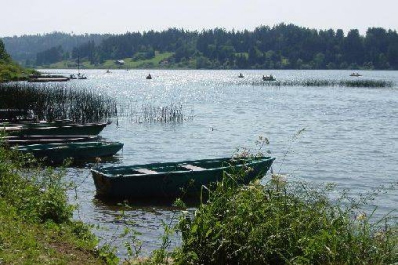 Location de vacances - Gîte à Gellin