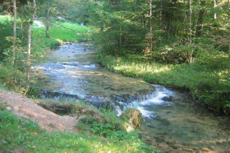 Location de vacances - Gîte à Gellin
