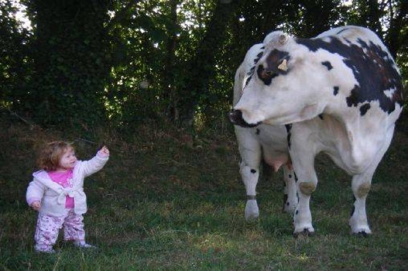 Location de vacances - Gîte à Landelles-et-Coupigny