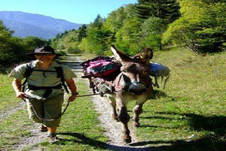 Location de vacances - Yourte à Vif