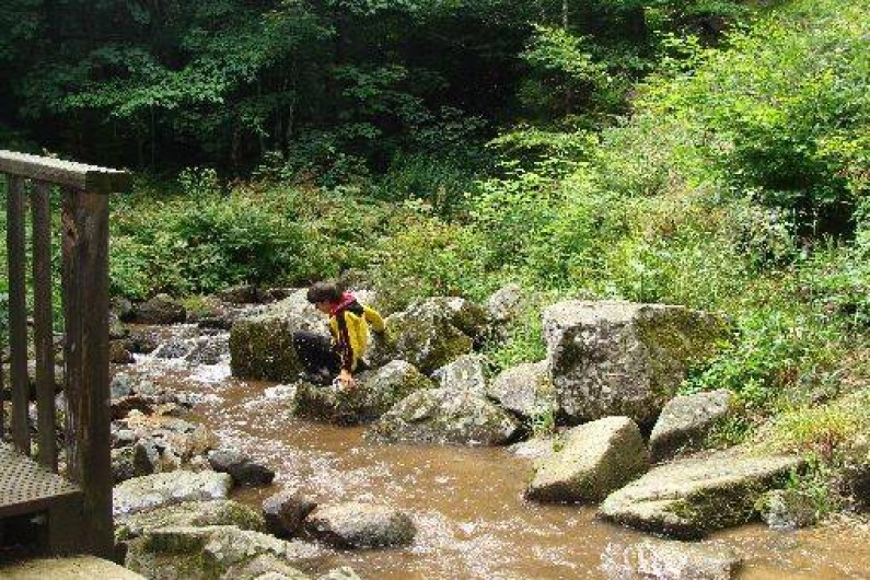 Location de vacances - Tipi à Le Hohwald