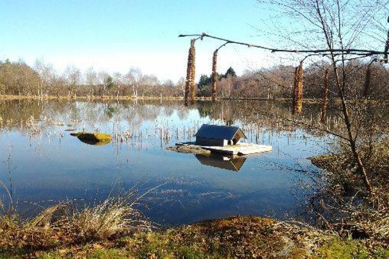 Location de vacances - Chambre d'hôtes à Saint-Agnan