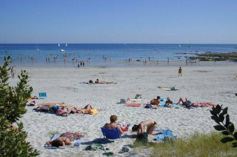 Location de vacances - Chambre d'hôtes à Loctudy