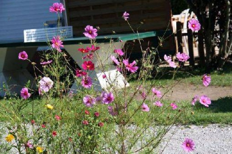 Location de vacances - Camping à Sciez