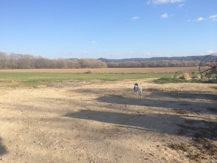 Location de vacances - Appartement à Manosque - Environnement campagne, sans nuisance.