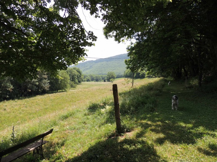 Location de vacances - Mas à Courniou - Devant la maison, les champs