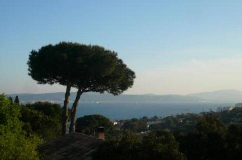 Location de vacances - Villa à Sainte-Maxime