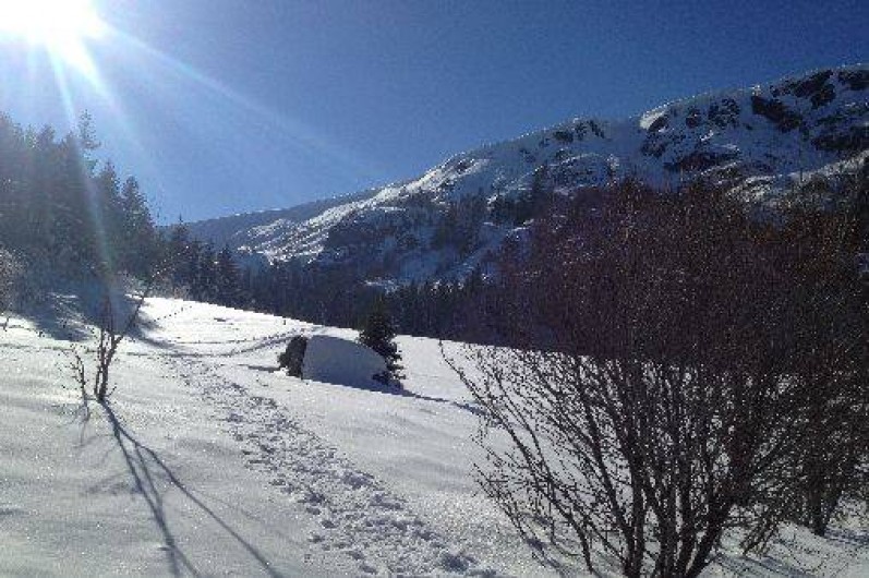 Location de vacances - Maison - Villa à Orbey