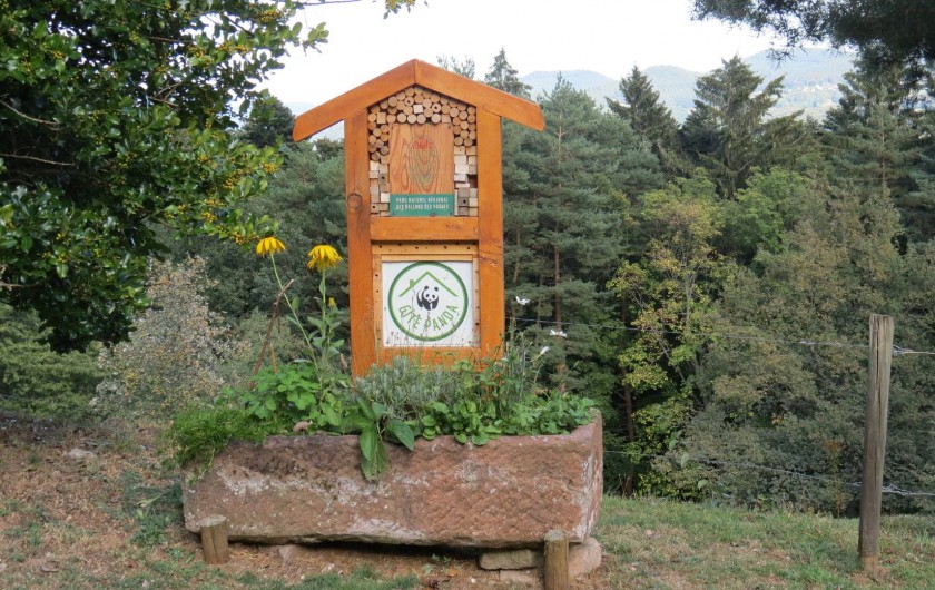 Location de vacances - Maison - Villa à Orbey