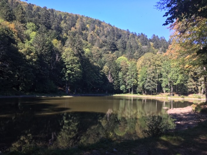 Location de vacances - Maison - Villa à Orbey
