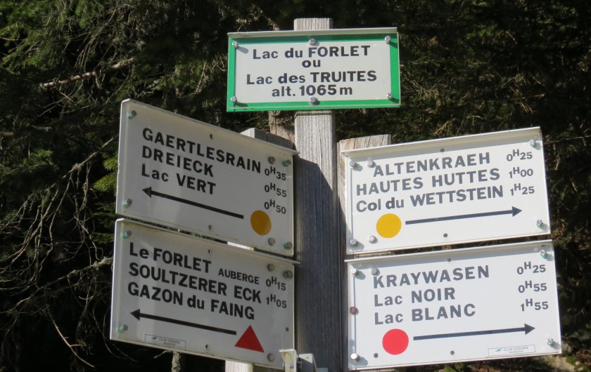 Location de vacances - Maison - Villa à Orbey