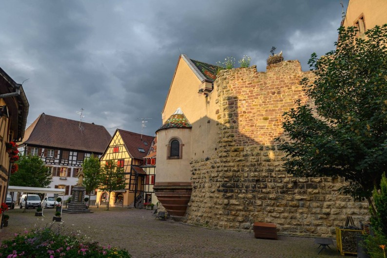 Location de vacances - Gîte à Eguisheim