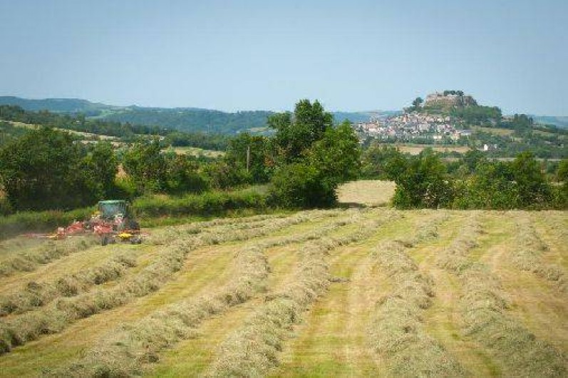 Location de vacances - Gîte à Sévérac-le-Château