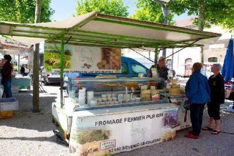 Location de vacances - Gîte à Sévérac-le-Château