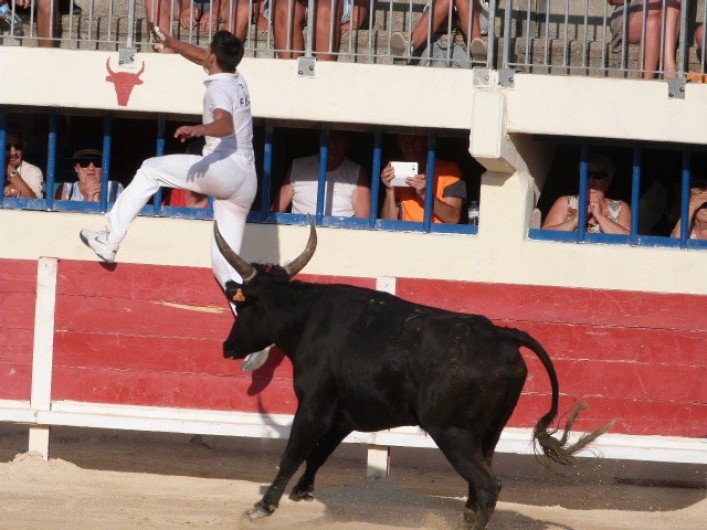 Location de vacances - Appartement à Port Camargue