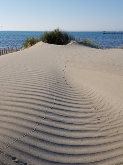 Location de vacances - Appartement à Port Camargue
